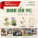 숲협동조합힐링플랜트리