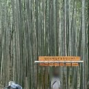 김순옥 | [담양 여행 리뷰_2]담양 죽녹원 방문후기🎋/김순옥찹쌀도너츠 후기🍩/내돈내산/ 4월초 담양 여행👍