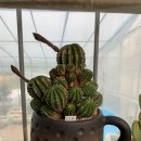 한샘농장 이미지