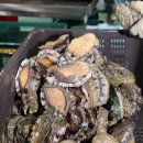 산삼수산 이미지