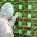 우정식품 이미지