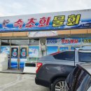 다산초등학교 | 다산면 횟집 속초회물회에서 물회 먹은 후기
