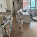 와쏘이마트(식당) | 9/30~10/20