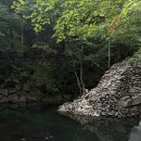 ☀ 가을이 오다 만 하동/광양 여행 기록(삼성궁/메암제다원/섬진다원/섬진강재첩국수)
