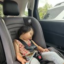 P&J 팜스 이미지