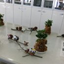 온천중학교 이미지