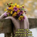 강변민박 이미지