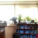 시조카센타 이미지