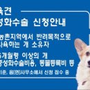 실외