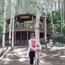 동강제일약국 이미지