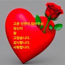 David Lanz ④ - A Whiter Shade of Pale ~ Monte Rosa. etc 11곡 이미지
