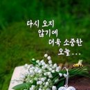 방목내 Daum카페