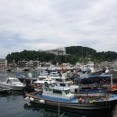부산카메라 Daum카페