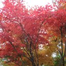 청명중학교 이미지