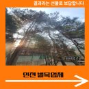 연희동행정복지센터 | 인천 벌목업체