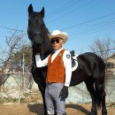 카우보이 이미지