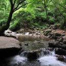 탑동석불 이미지