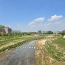 청미천 6 이미지