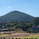 제주더힐링하우스 이미지