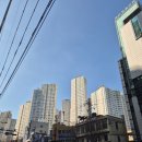 11500-7-59-101 | 대연 디아이엘 임장후기 부동산 매수 고민 이야기