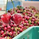 (주)우선팜 이미지