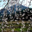 강이있는풍경 이미지