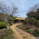 박용철 전집 시집 이미지