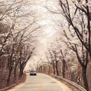 생곡삼거리짜장면 이미지