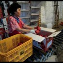 유평농장 이미지