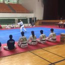 신성태권도장 이미지