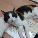 신월동227 이미지