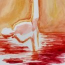 금빛호수 태권도 이미지