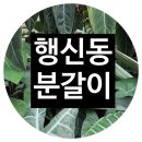 충장로 123번길 이미지