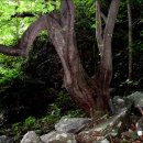 삼막경로당 이미지