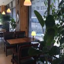 디카페(DCafe)
