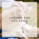 뷰티아지트 이미지