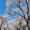 레이지포 이미지