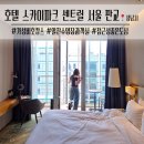황새울로311번길 | 호텔 스카이파크 센트럴 서울 판교 | 가성비 호캉스 발코니 더블 &amp; 수영장 후기