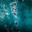 당정골계곡 이미지