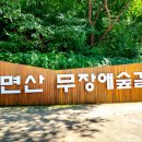 우면산6-11 이미지