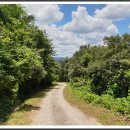 금산사길 이미지