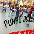 푸노키즈복싱 이미지