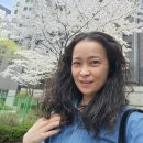 신도브래뉴우리공인중개사사무소 | [J:D] 벚꽃 맞이 신간 서적! "공인중개사x행정사 레벨업100"