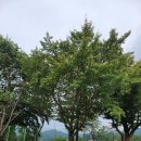 원주공고길 이미지