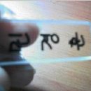 스쿨룩스일산