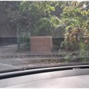 은혜요양원 이미지