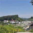꽃지사랑펜션 | 가족 여행지 고민 끝! 꽃지해수욕장 근처 태안가족펜션 사계절펜션에서 자연을 품은 힐링 찾았어요
