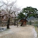 환산정 Daum카페