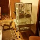 잉꼬크리닝 이미지