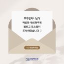 디에스마케팅 - 전주시 완산구 황강서원5길 33 | 강북구 폭포수전 주방수전 교체 디에스대성하우징 방문후기 (with. 뚜뚜맘라니)